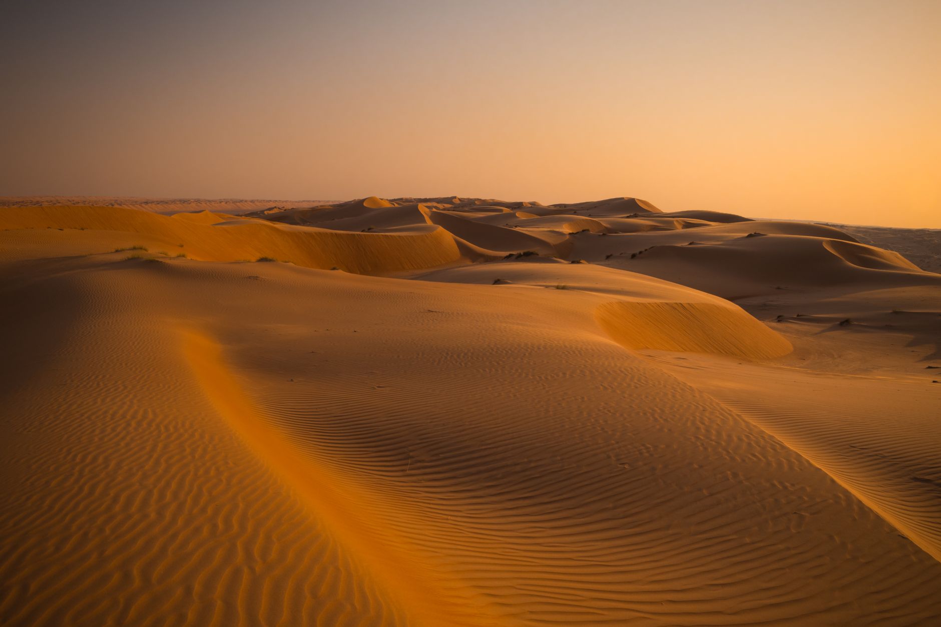 كثبان ذهبية في رمال وهيبة